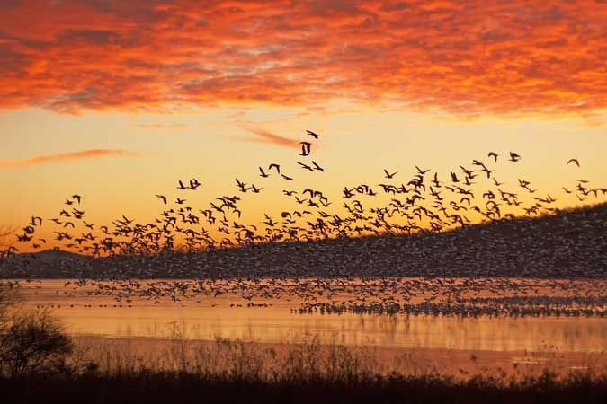 Bird Watching in Sri Lanka